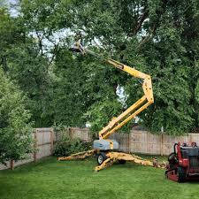 Best Tree Mulching  in Woodville, WI