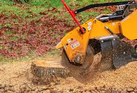 Best Arborist Consultation Services  in Woodville, WI