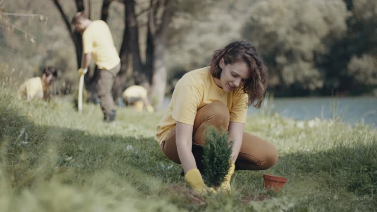 Best Lawn Renovation and Restoration  in Woodville, WI